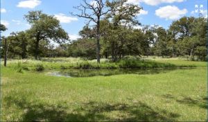 1190 Copperhead Drive Seguin Texas 78155 - stocked pond