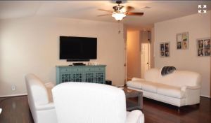 2442-fayette-drive-new-braunfels-texas-78130-living-room
